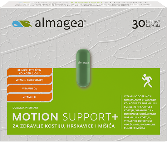 Motion Support+